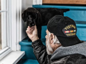 September 2018 veterans disability benefits statistics report