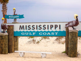 Your Guide to Getting Mississippi Disability Benefits