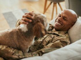 November 2022 Veterans Disability Benefits Statistics Report