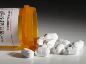 Opioid Pain Medication and Disability Benefits