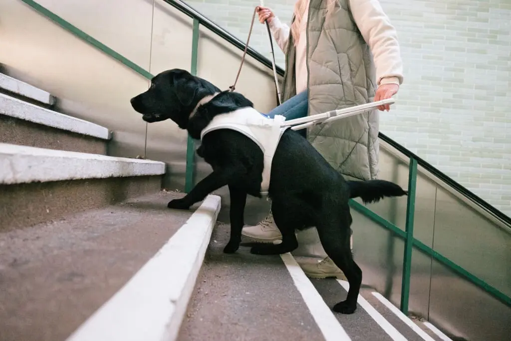 November 2025 SSD benefits statistics report